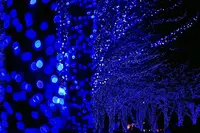 青の洞窟 SHIBUYAの写真・動画_image_286719
