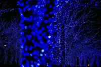 青の洞窟 SHIBUYAの写真・動画_image_286720