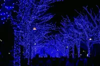 青の洞窟 SHIBUYAの写真・動画_image_286721