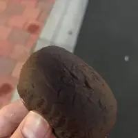 【閉業】立花巣鴨店の写真・動画_image_287148