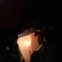 カオマンガイバザール 立川店の写真・動画_image_287763