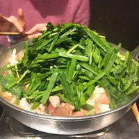 もつ鍋 楽天地 天神本店の写真・動画_image_288303