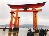 厳島神社の写真・動画_image_288375