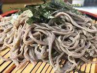 あお木の写真・動画_image_288507