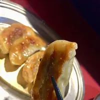 小金ちゃんの写真・動画_image_288696