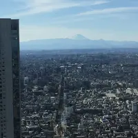 パーク ハイアット 東京の写真・動画_image_289701