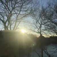 きぬの宿 志季大瀞の写真・動画_image_289848