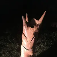 一富士の写真・動画_image_289851