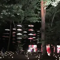 一富士の写真・動画_image_289852
