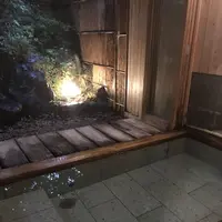 花吹雪の写真・動画_image_289857