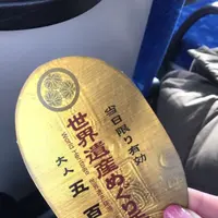 日光東照宮の写真・動画_image_290013