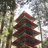 日光東照宮の写真・動画_image_290018