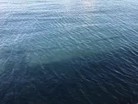 横浜中華街の写真・動画_image_290284