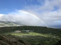 Diamond head（ダイヤモンド・ヘッド）の写真・動画_image_290627