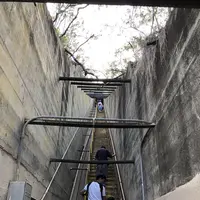 Diamond head(ダイヤモンド・ヘッド)の写真・動画_image_290629