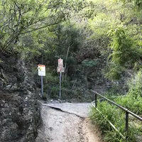 Diamond head(ダイヤモンド・ヘッド)の写真・動画_image_290630