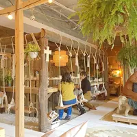 boHod clubの写真・動画_image_291398