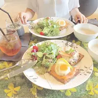 ニコライバーグマン ノム（Nicolai Bergmann NOMU ）の写真・動画_image_291404