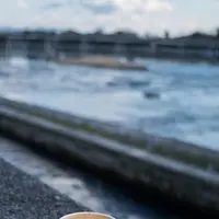 アラビカ 京都 嵐山（% ARABICA Kyoto）の写真・動画_image_291600