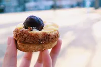 Seiichiro,NISHIZONOの写真・動画_image_291823