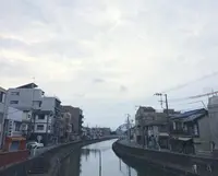 松の湯の写真・動画_image_291883