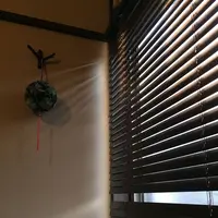 ホノホノカフェの写真・動画_image_292309