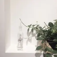 ウイズアウトスタンド 原宿 （W/O STAND）の写真・動画_image_292853