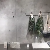 shiro自由が丘の写真・動画_image_292861