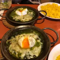 ヨゴロウ （YOGORO） の写真・動画_image_293118