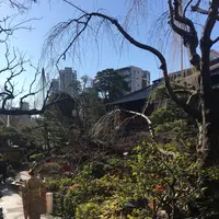 芝とうふ屋 うかいの写真・動画_image_293725