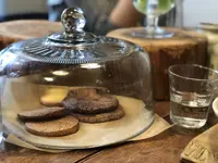 branch（ブランチ）の写真・動画_image_293909