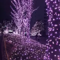 サザンライツ 新宿サザンテラスの写真・動画_image_294626