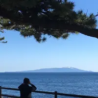 雛の館 むかい庵の写真・動画_image_295251