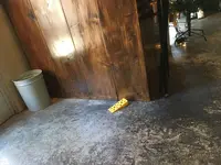 Cafe The SUN Lives HEREの写真・動画_image_295405