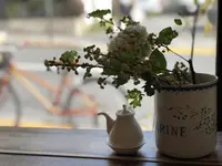 HIBUSUMAの写真・動画_image_295876