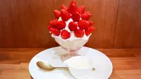 かき氷研究所の写真・動画_image_296278
