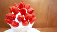 かき氷研究所の写真・動画_image_296279