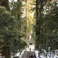 箱根神社の写真・動画_image_297029