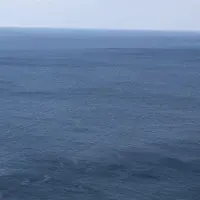 サンメッセ日南の写真・動画_image_297031