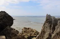 万座毛の写真・動画_image_298008