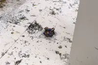 壺屋やちむん通りの写真・動画_image_298069