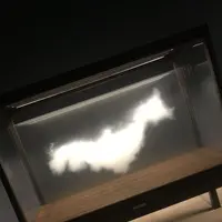 森美術館の写真・動画_image_300951