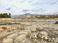 鴨川デルタの写真・動画_image_301272