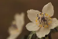 大久保の写真・動画_image_301362