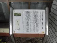 芭蕉翁逗留出雲屋跡の写真・動画_image_301748