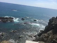 桂浜の写真・動画_image_302382