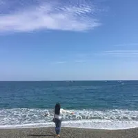 桂浜の写真・動画_image_302383