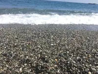 桂浜の写真・動画_image_302386