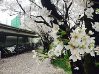 高知市の写真・動画_image_302394