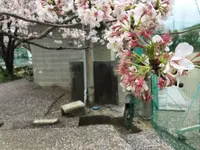 高知市の写真・動画_image_302398